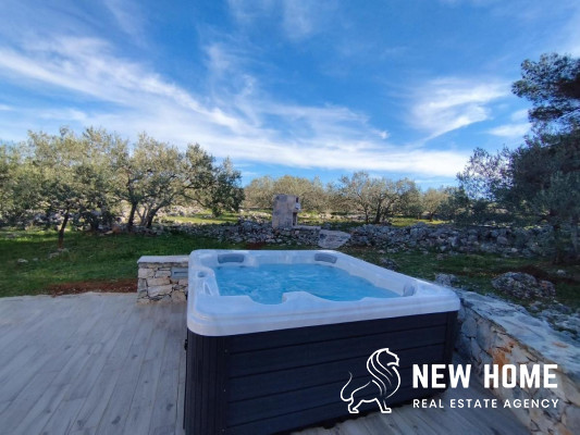 Idyllic house in the middle of an olive grove