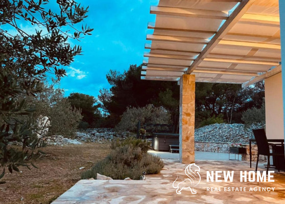 Idyllic house in the middle of an olive grove