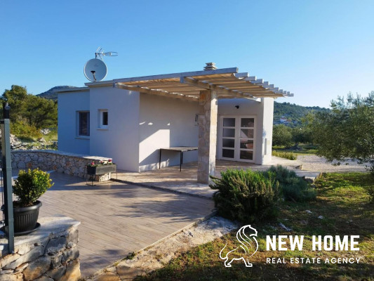 Idyllic house in the middle of an olive grove