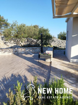 Idyllic house in the middle of an olive grove